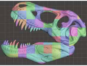 t-rex skull life sized wall hanger flat flattened sliced xl printing fossil fossils trex tyrannosaurus rex 3d print model - Mito3D
