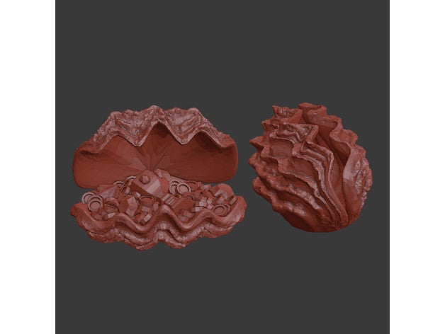 treasure clam 3D print model - Mito3D