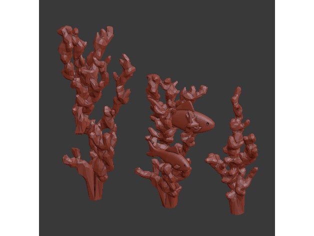 coraux corail 3D print model - Mito3D