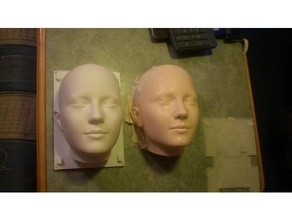 sylvie 2021 - complete molding toolset silicone skin making 2020 animatronic casting girlfriend head robot skull sophia tools 3d print model - Mito3D