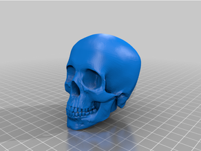Humain crâne Personnel topper cool remix crânes 3d print model - Mito3D