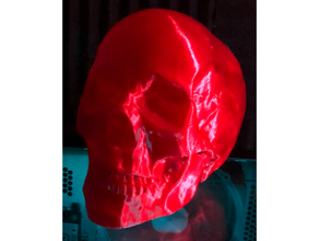 3d skull 3d print model - Mito3D
