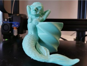 mr Bohne Meerjungfrau verschwommen danke Meme Eberesche Atkinson 3d print model - Mito3D
