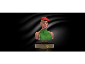 cammy fighter game street 3d print model - Mito3D