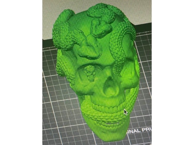 teschi cranio 3D print model - Mito3D