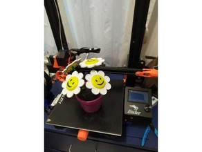 smile plant decor decoration 3d print model - Mito3D