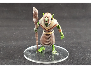 1 54 goblin sciamano 54mm dnd mini miniatura fantasia folletti assassino esploratore gioco guerra 3d print model - Mito3D