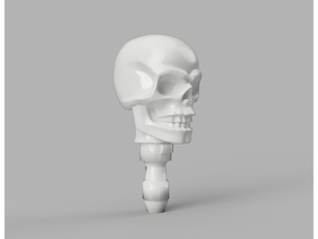 playmobil testa eroico cranio 3d print model - Mito3D