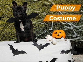 halloween puppy costume animal bat batman cosplay dog decoration pumpkin pumkin sharked design 3d print model - Mito3D