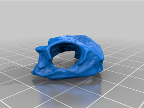 frog skull earrings 3d print model - Mito3D