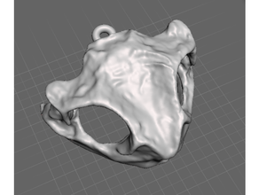 frog skull earrings 3d print model - Mito3D