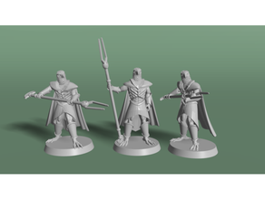 avia-ra 28mm dark matter dungeons dragons roleplaying tabletop 3d print model - Mito3D
