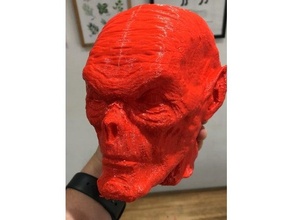 demônio cabeça ipad monstro nômade esculpido 3d print model - Mito3D