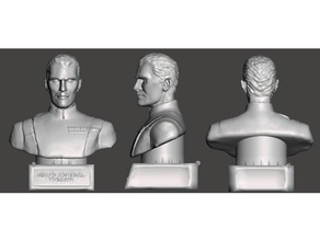 großartig Admiral geworfen Büste 3d print model - Mito3D