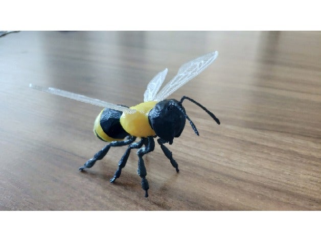honey bee 3D print model - Mito3D
