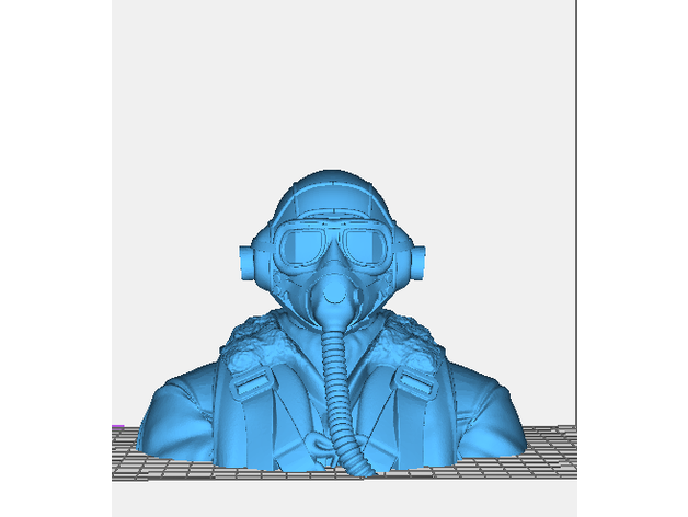 Guerra Mundial raf piloto buste 3D print model - Mito3D