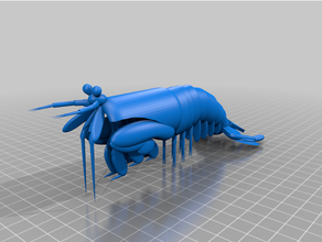 pavone mantide gamberetto creatura crostaceo carina mare 3d print model - Mito3D