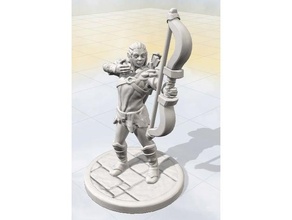 bag dungeon elf female - alendra boardgame fantasy rpg 3d print model - Mito3D