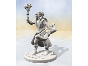 bag dungeon elf male - galhorn boardgame fantasy rpg 3d print model - Mito3D