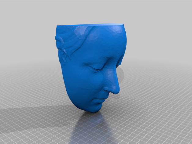 mur planteur tête femme 3D print model - Mito3D