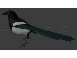 uccello gazza animale animali scultura 3d print model - Mito3D