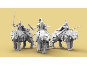emperor's lionesses 40k cyber guard maiden maidens marine mounted rider royal silence sisters space warhammer 3d print model - Mito3D