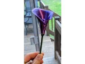 calla lilly flower lily decoration wedding 3d print model - Mito3D