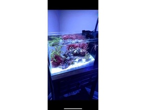 hang nano surface skimmer 5mm glass aio aquarium filter coral reefs reef salt water tank 3d print model - Mito3D