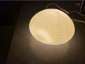 deniz kestane gece ışık 3d print model - Mito3D