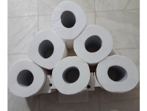 toilette papier espace rangement 3d print model - Mito3D