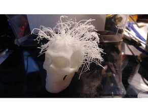 poilu os jr Humain crâne 3d print model - Mito3D
