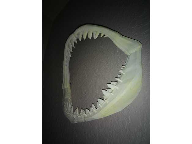 requin mâchoires art impressionnant OS cool épique poisson fossile pendaison mâchoire monter océan orque pla quint mer squelette crâne dents dent mur l'eau 3D print model - Mito3D