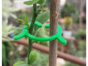 clips plants garden holder plant 3d print model - Mito3D