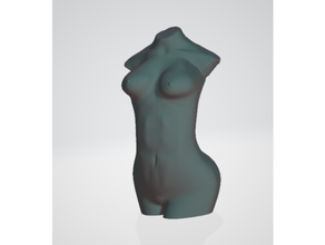 female torso 3d print model - Mito3D