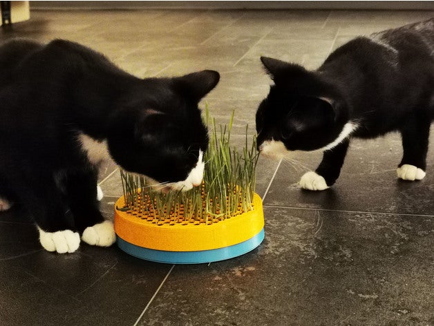 cat grass planter gras grasnapf katze katzengras miau pot wheat 3D print model - Mito3D