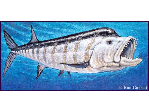 xiphactinus cretaceous dinosaurs extinct fish prehistoric animals prehistory 3D print model - Mito3D