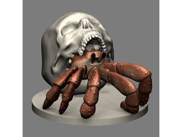 ermite Crabe crâne animal 3D print model - Mito3D