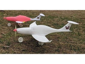 tutulma uçaklar ultra ışık havasız tekerlek model 3d basılı uçak havacılık çift 3d print model - Mito3D