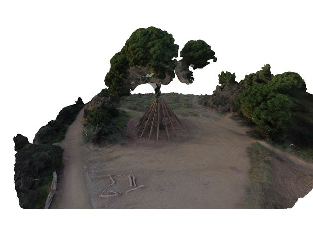 pi d'en diffusions arbol Barcelone Borrell Catalogne Collserola europa iconique tanière pin centre cugat taille analyse arbre 3D print model - Mito3D