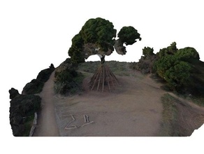 pi d'en xandri arbol barcelona borrell catalonia collserola europa iconic iconico den pine sant cugat medir scan tree 3d print model - Mito3D