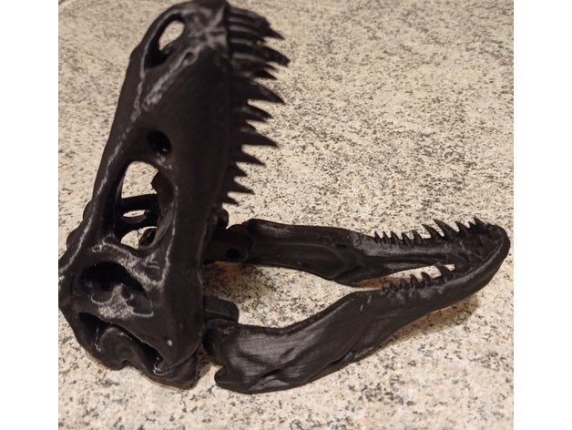 rex crâne mixte mouvement mâchoire 3D print model - Mito3D