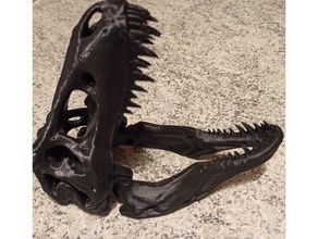 t rex cranio comune in movimento mascella 3d print model - Mito3D
