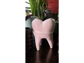 dente fioriera fiore pentola succulenta spazzolino 3d print model - Mito3D