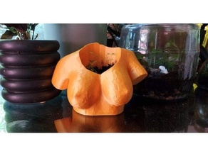 torso fioriera boob fiore pentola 3d print model - Mito3D