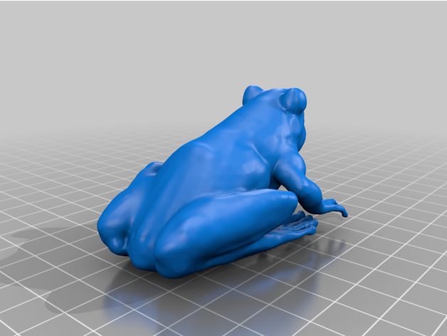 Frühling peeper Amphibie Kreuzblütler Frosch Pseudacris 3D print model - Mito3D