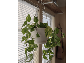 hanging pot 3d print model - Mito3D