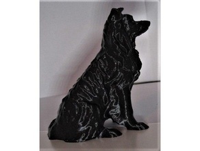 frontera collie perro remezclar 3d print model - Mito3D