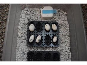 gecko ovo incubação bandeja crista ovos incubadora leopardo répteis 3d print model - Mito3D