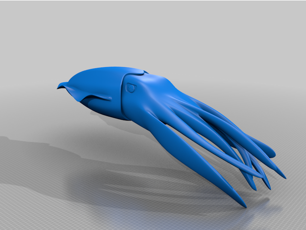 cuttlefish mollusc underwater 3D print model - Mito3D