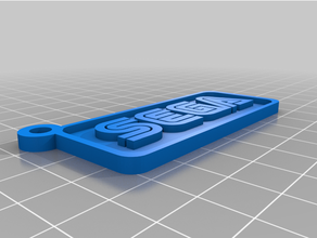 Sega Log Schlüsselbund 3d print model - Mito3D